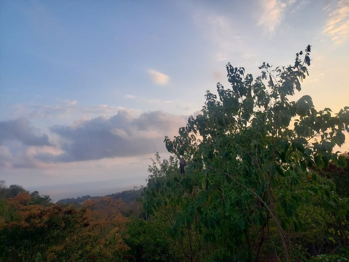 1 of 8: vista del terreno cerca de Zipolite