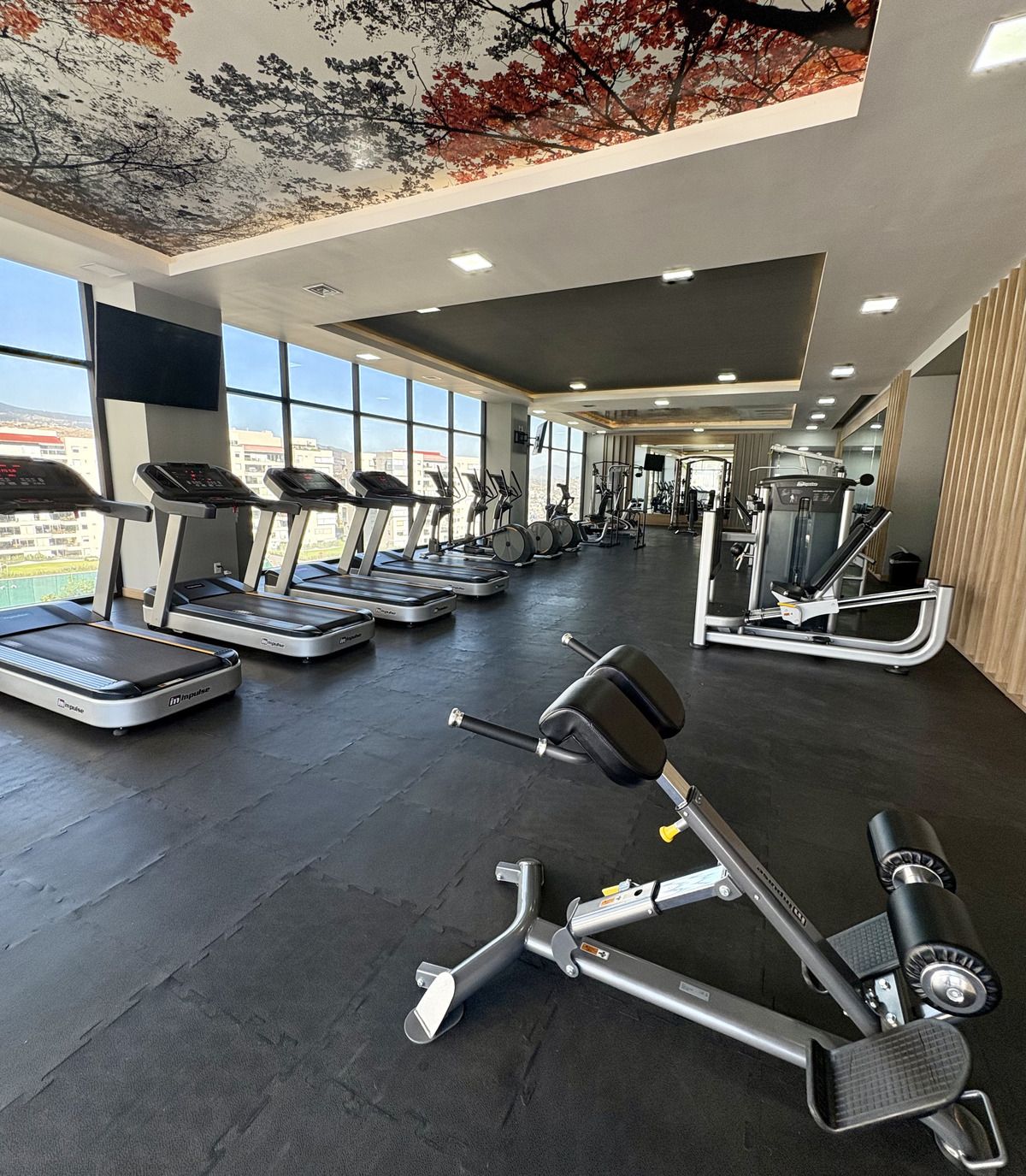 25 de 29: Amenidades: Gimnasio