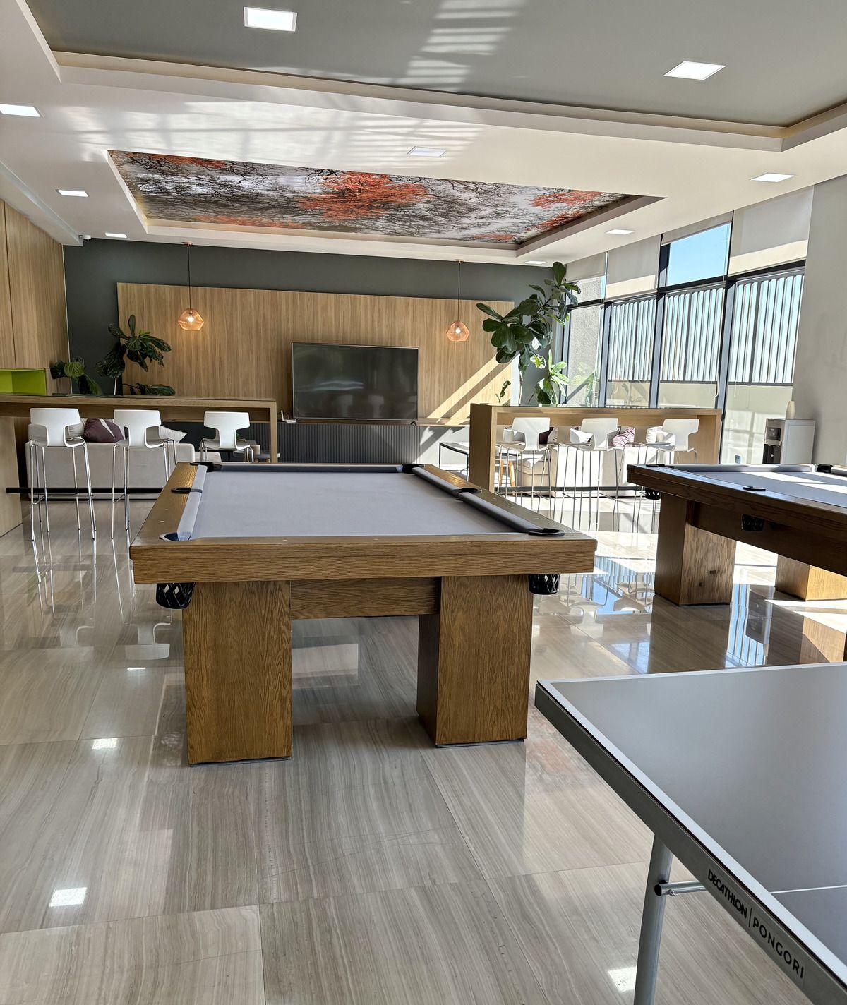 25 de 27: Amenidades: Salón de adultos