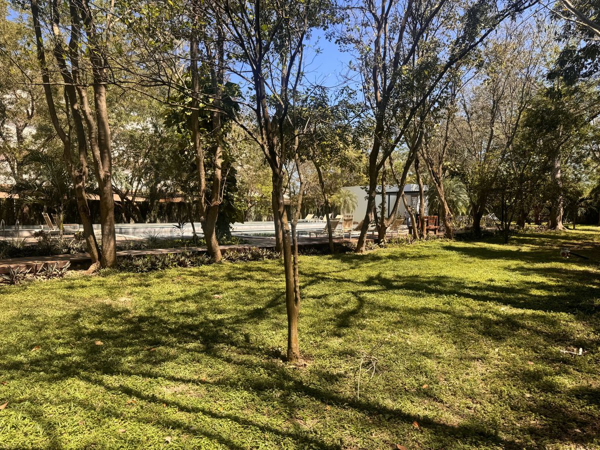 22 de 22