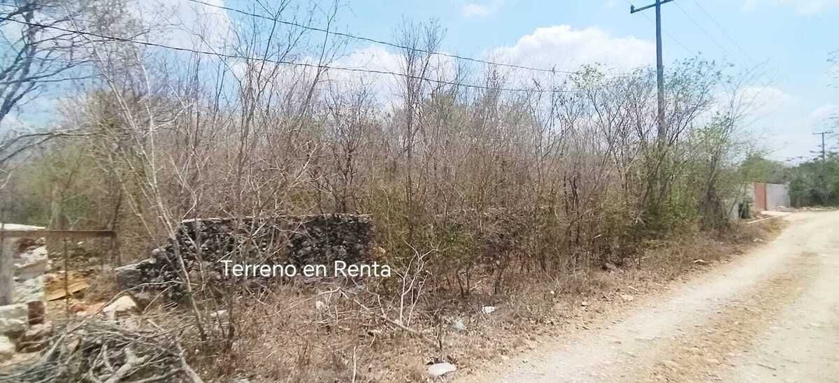 3 de 8: Foto real de la propiedad