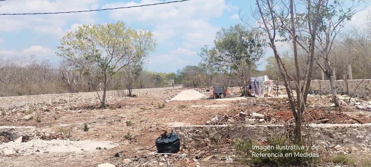 5 de 8: Foto ilustrativa del suelo de la zona