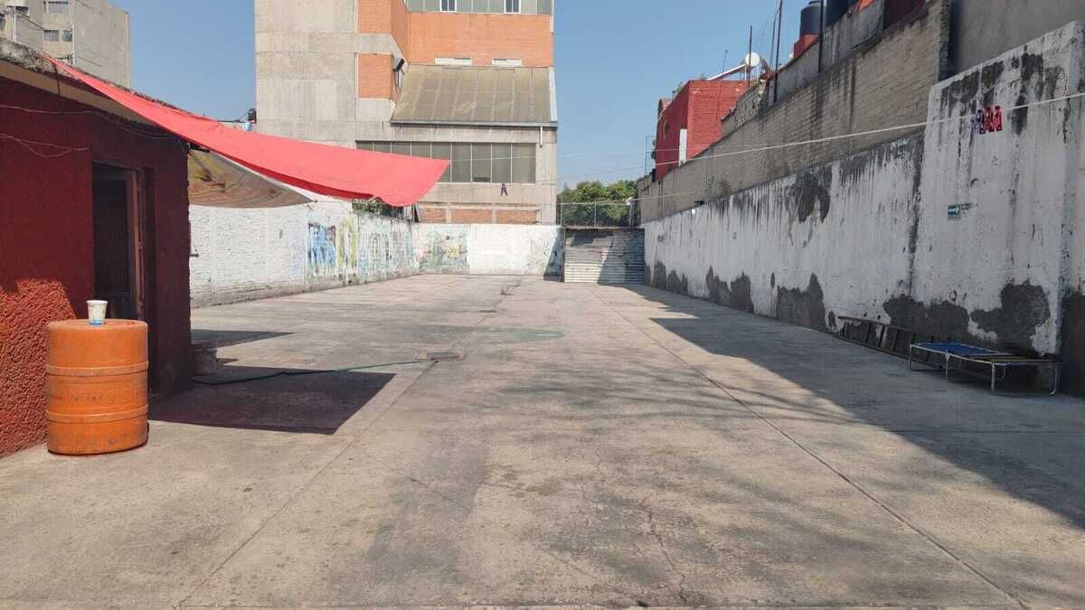6 de 12