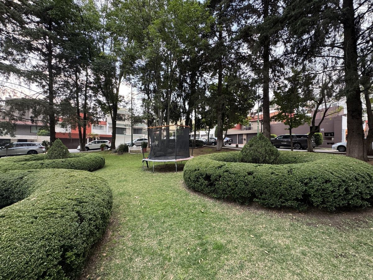 49 de 50