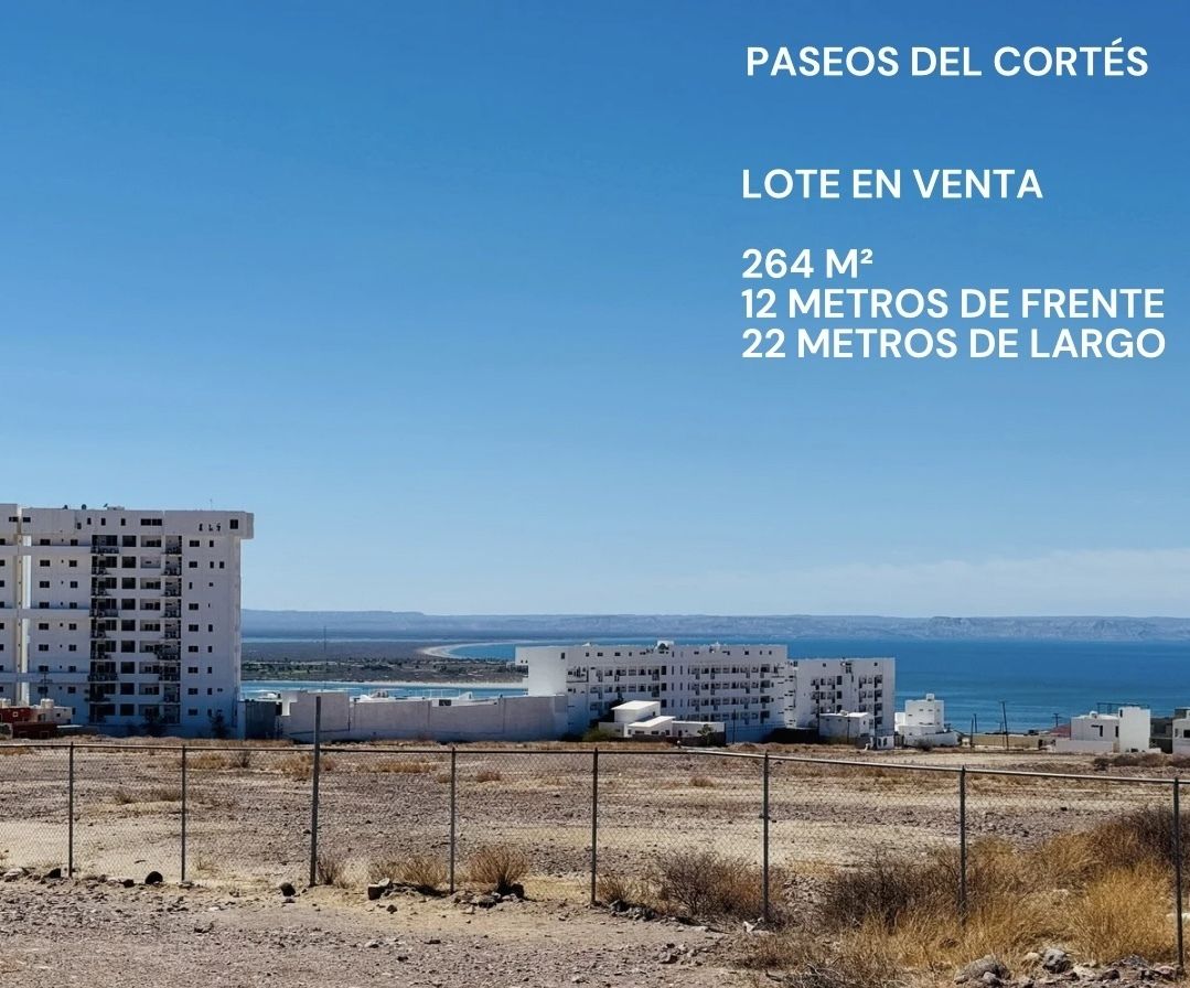 1 de 20