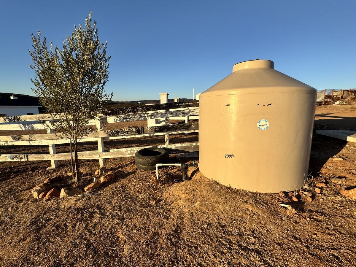 11 of 16: servicios instalados