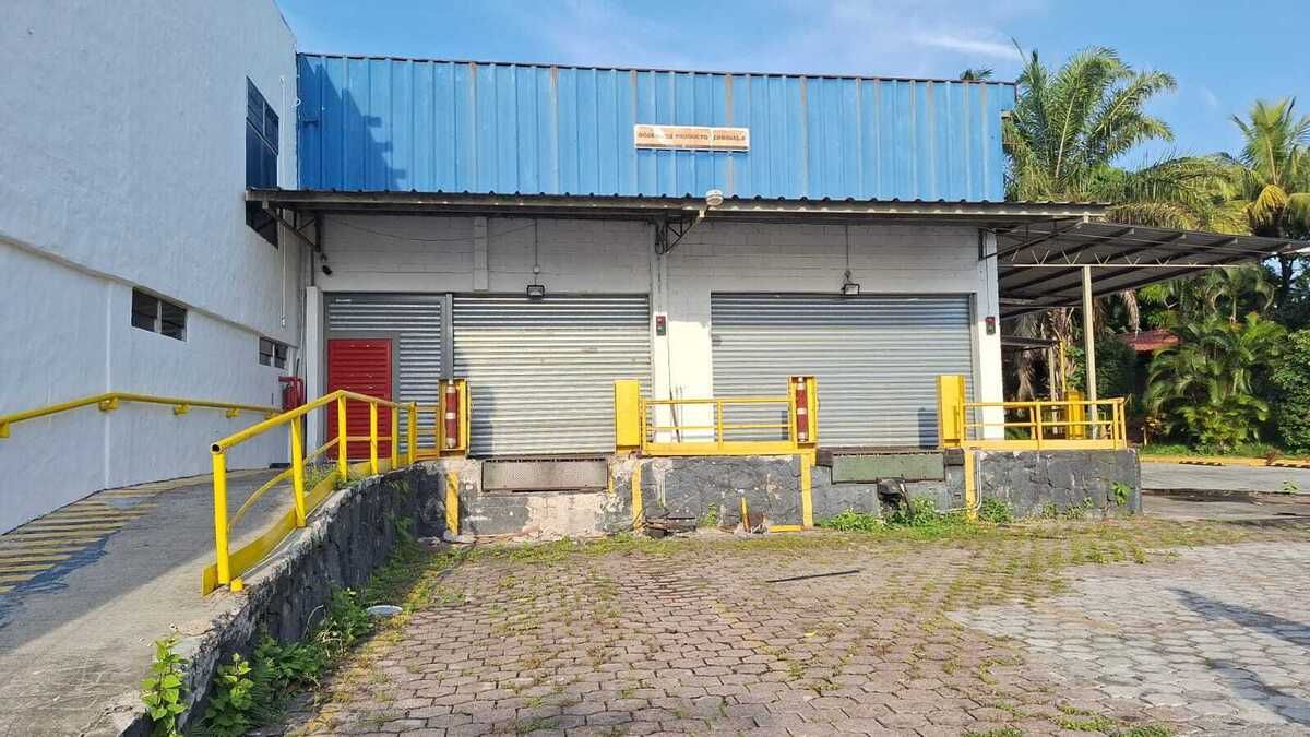 4 de 12
