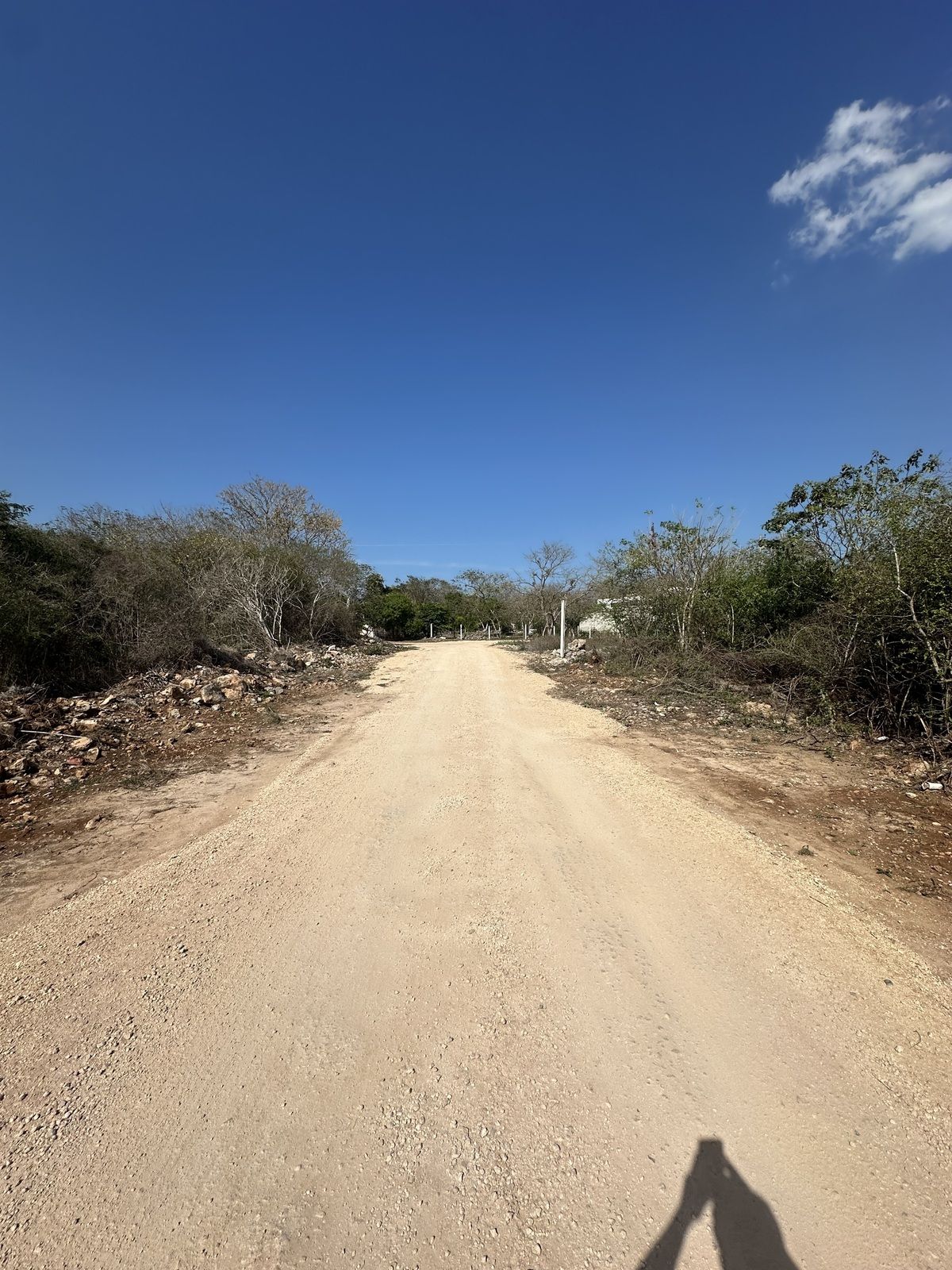 4 de 6: Calle blanca en el terreno