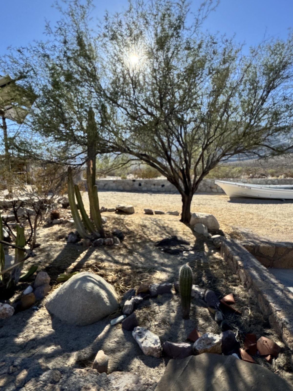 33 of 33: Plantas de la zona