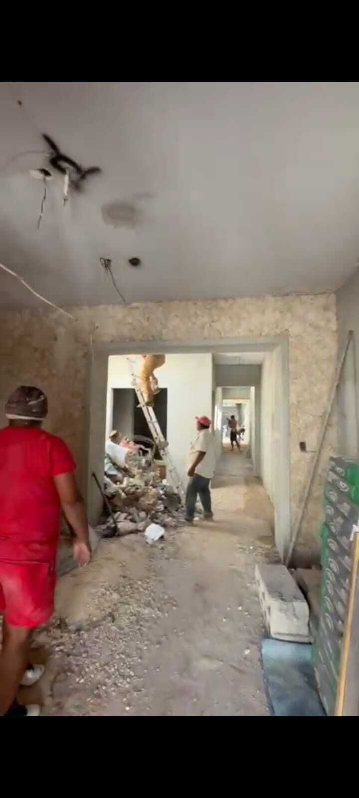 6 de 12