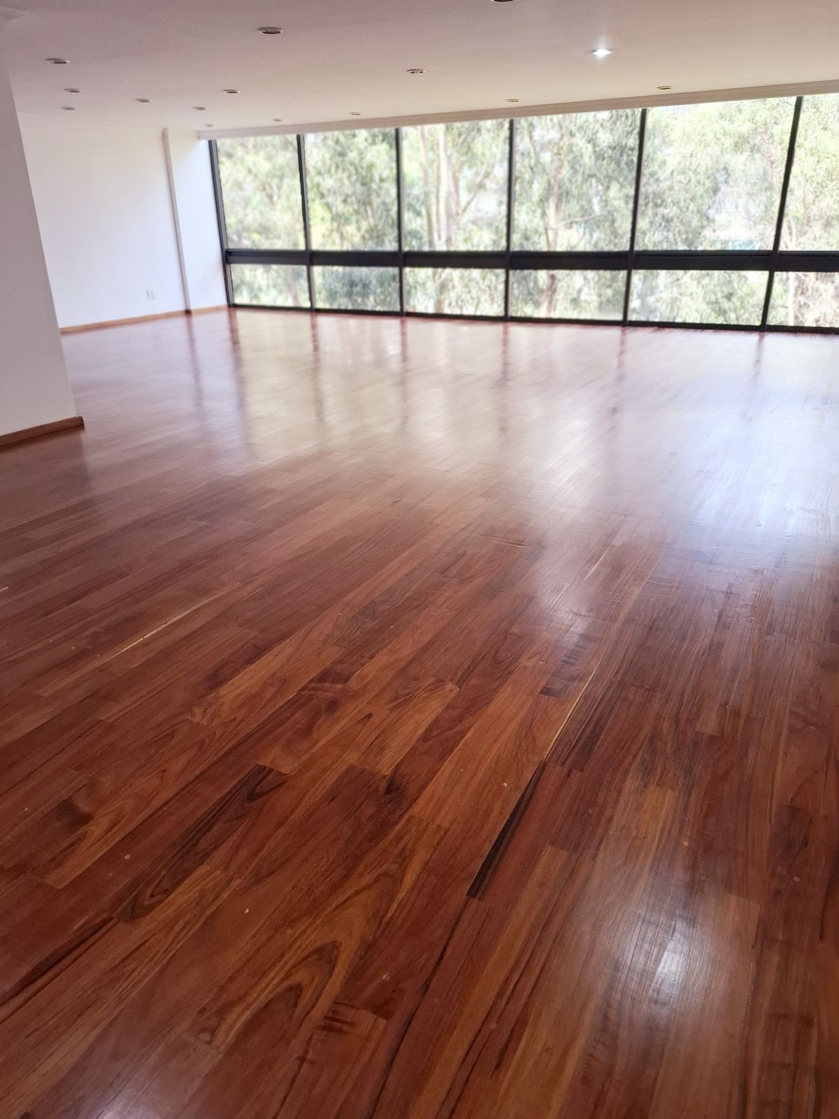 2 de 27: Sala y comedor muy amplia