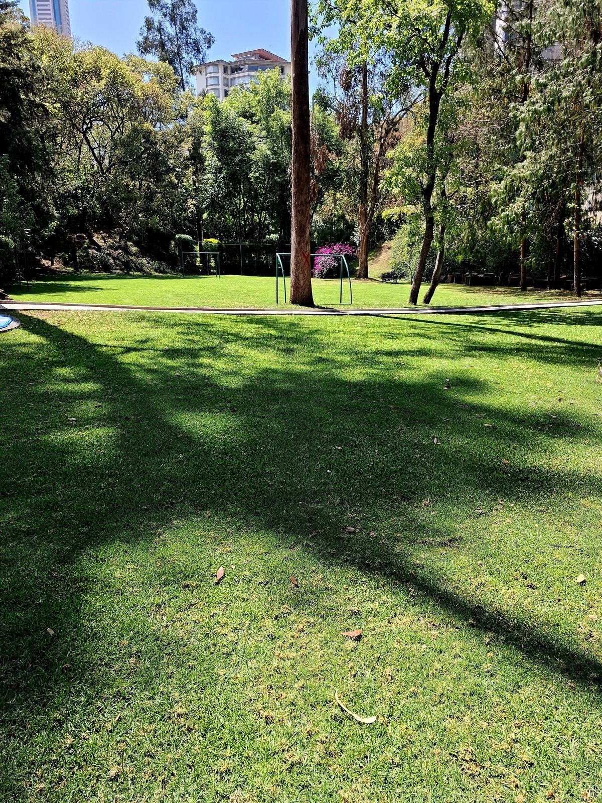 23 de 27: Jardines