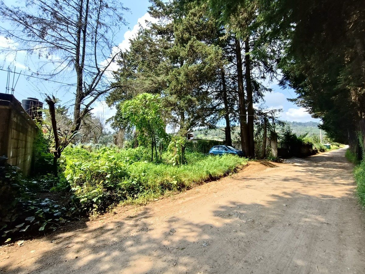 Terreno en San Bartolo, Amanalco, foto 3 de 17