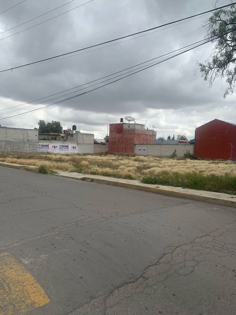 3 de 6