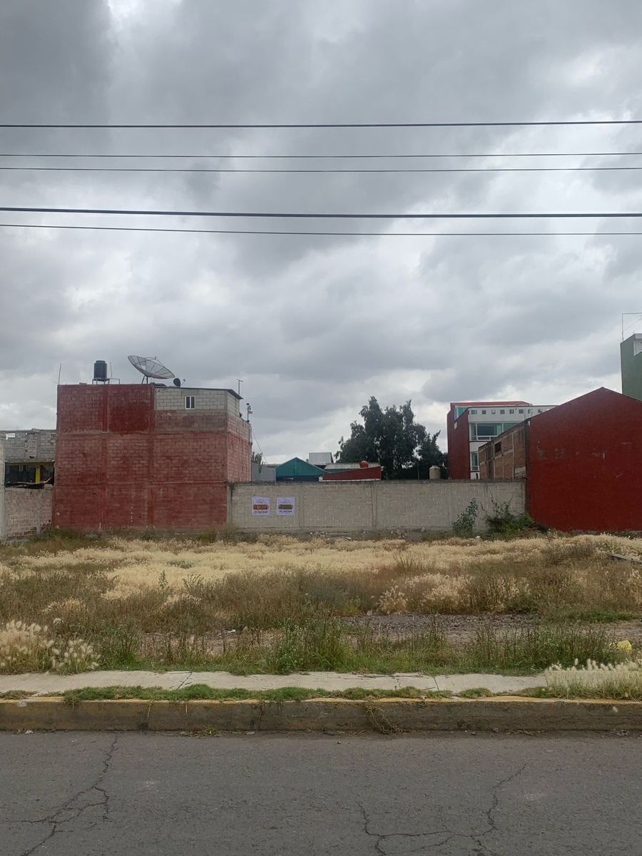 4 de 6