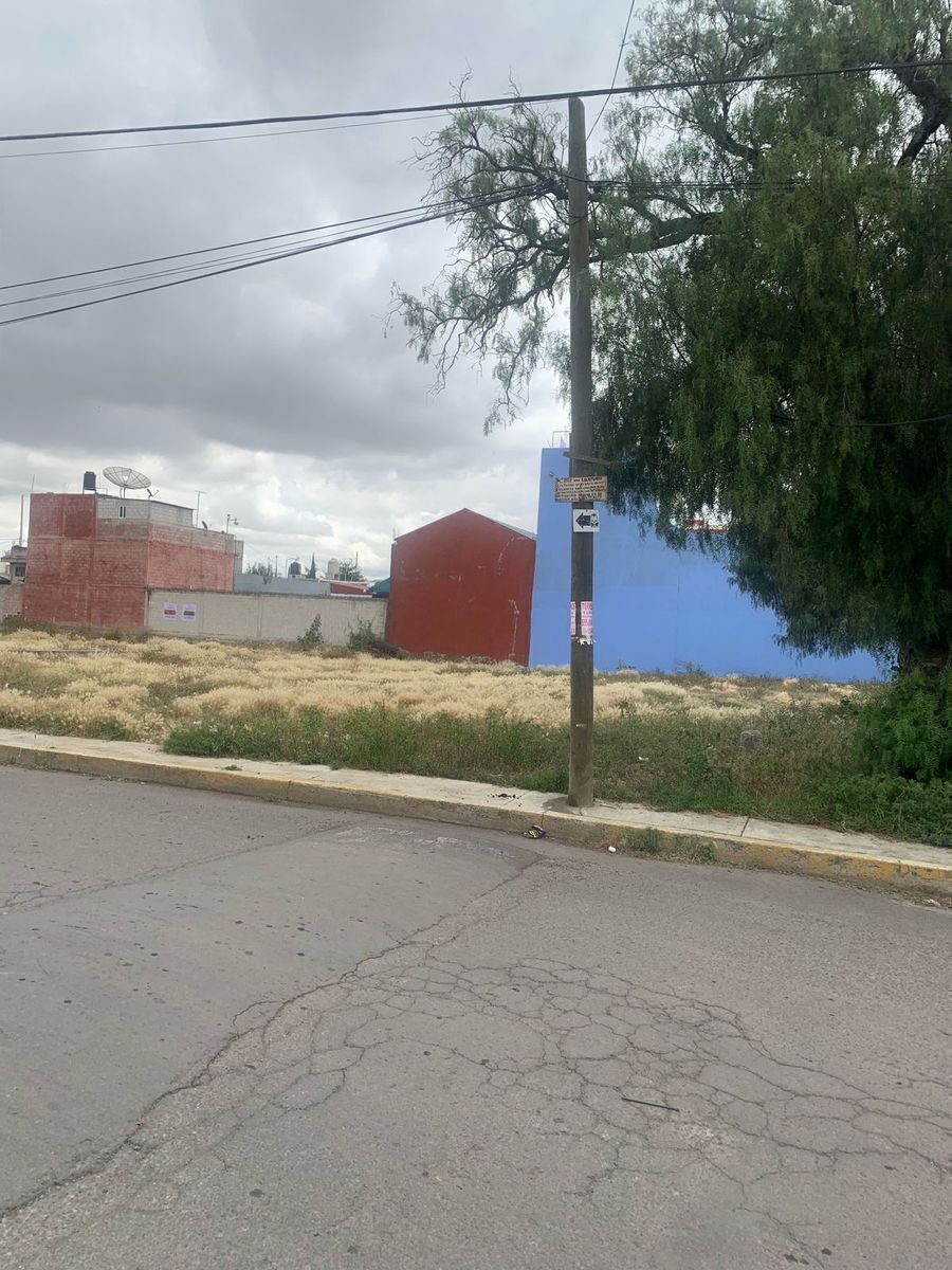 5 de 6
