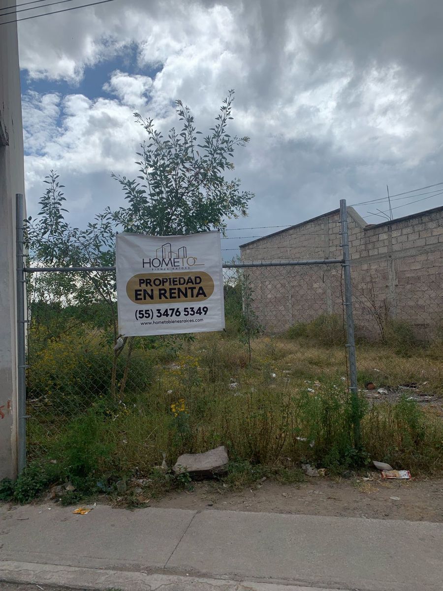 2 de 7