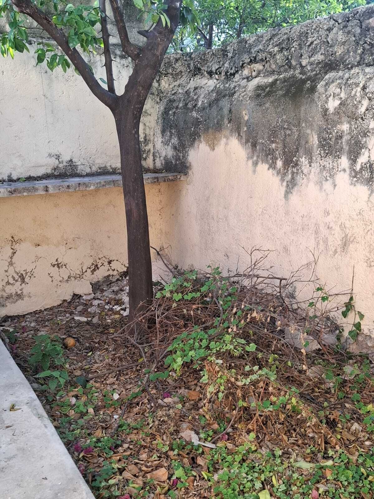 5 de 31