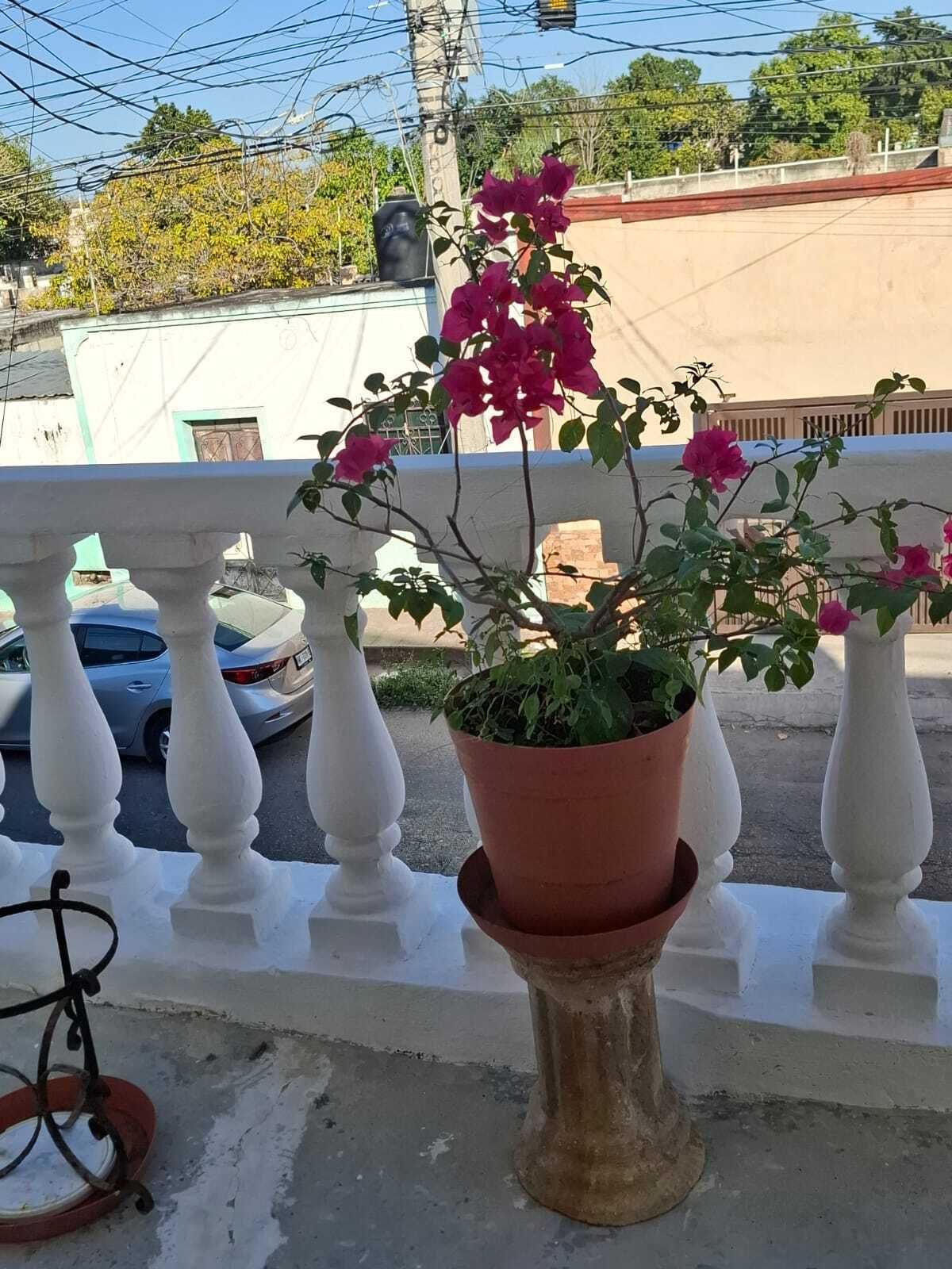 19 de 31