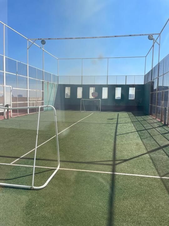 20 de 24