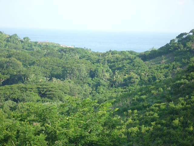 Property view 8