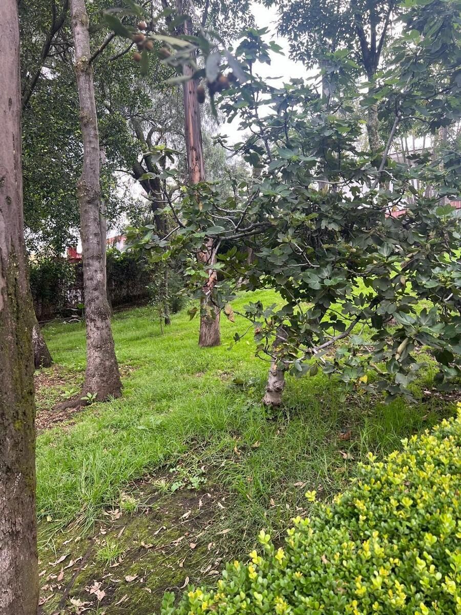 HOUSE FOR SALE IN LOMAS HIPODROMO - foto 4