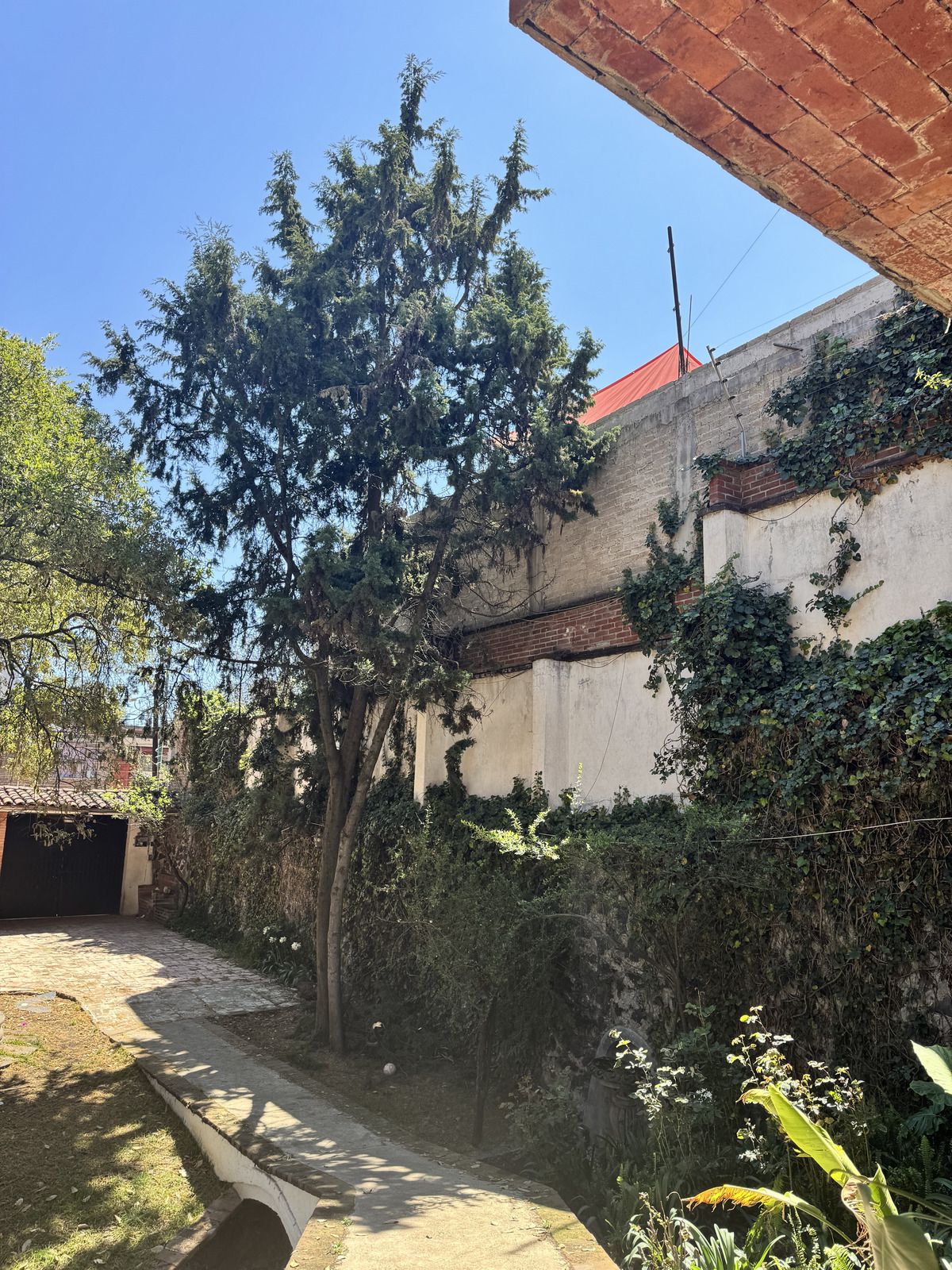 20 de 43