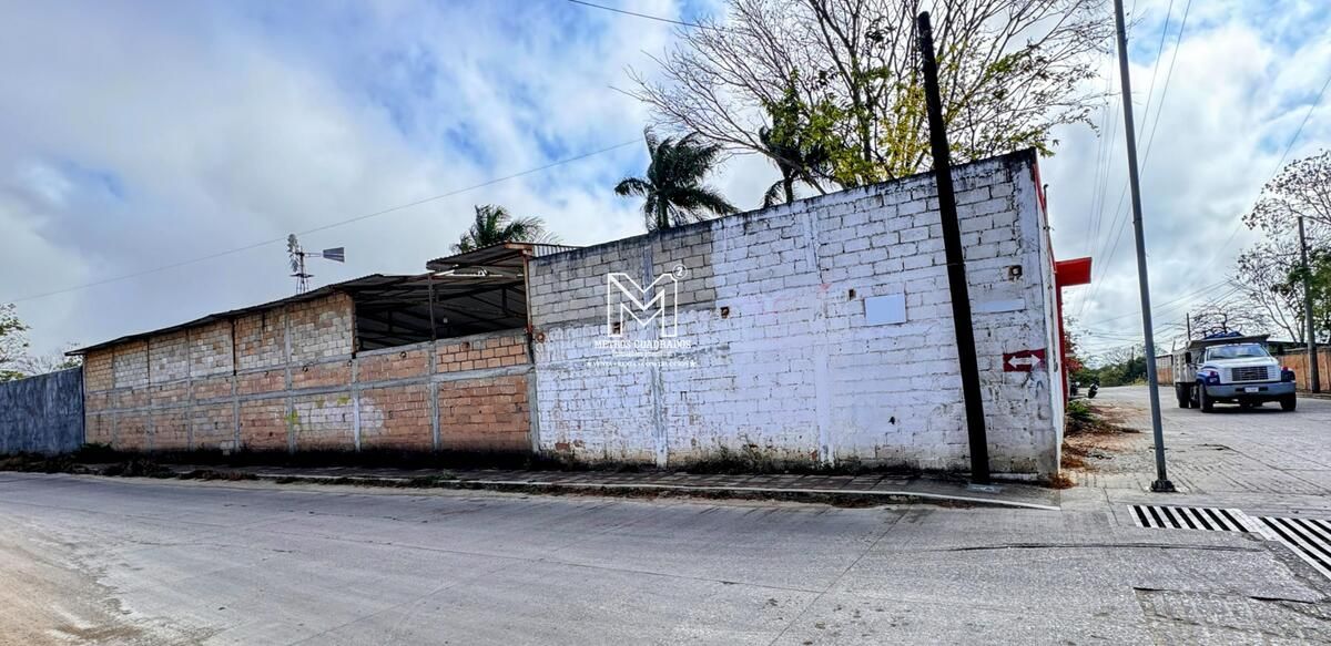 11 de 11