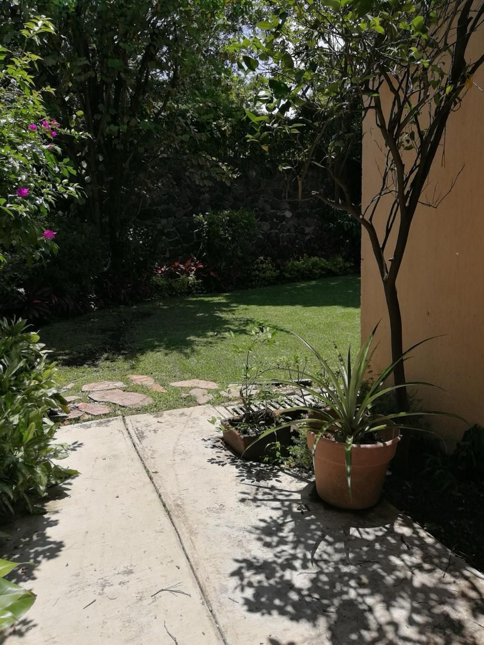 27 de 37