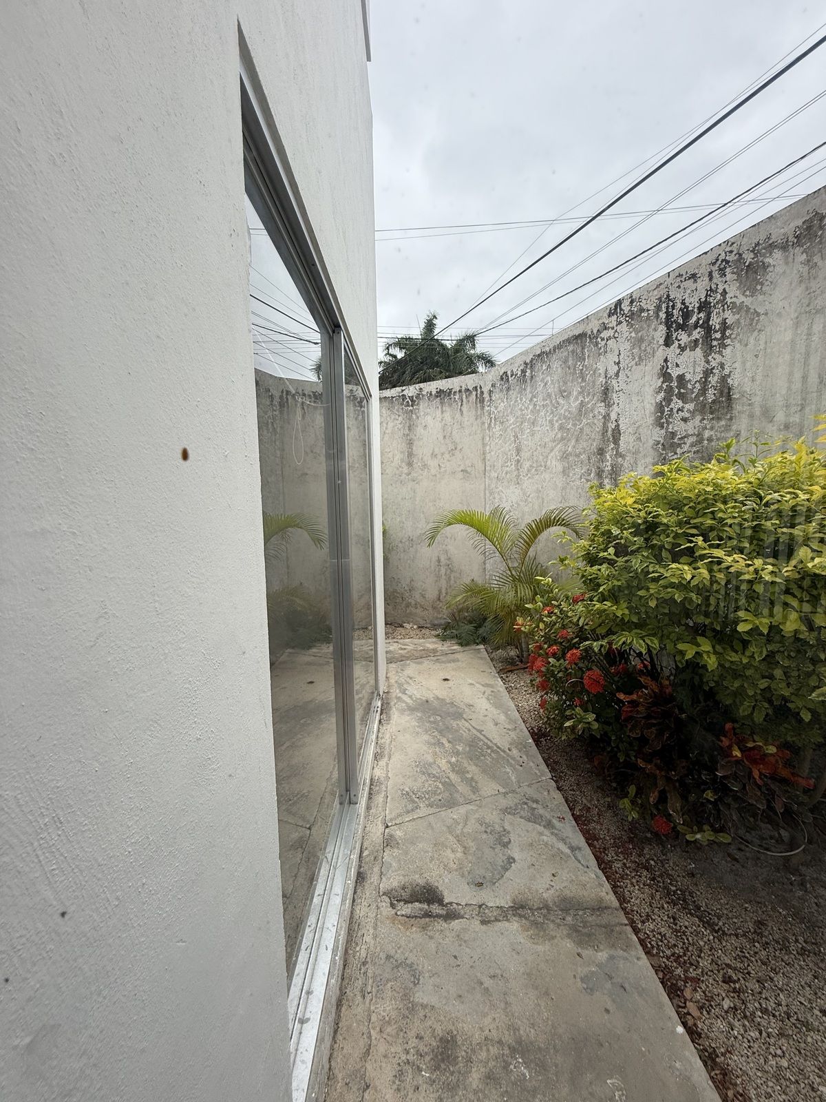 9 de 31