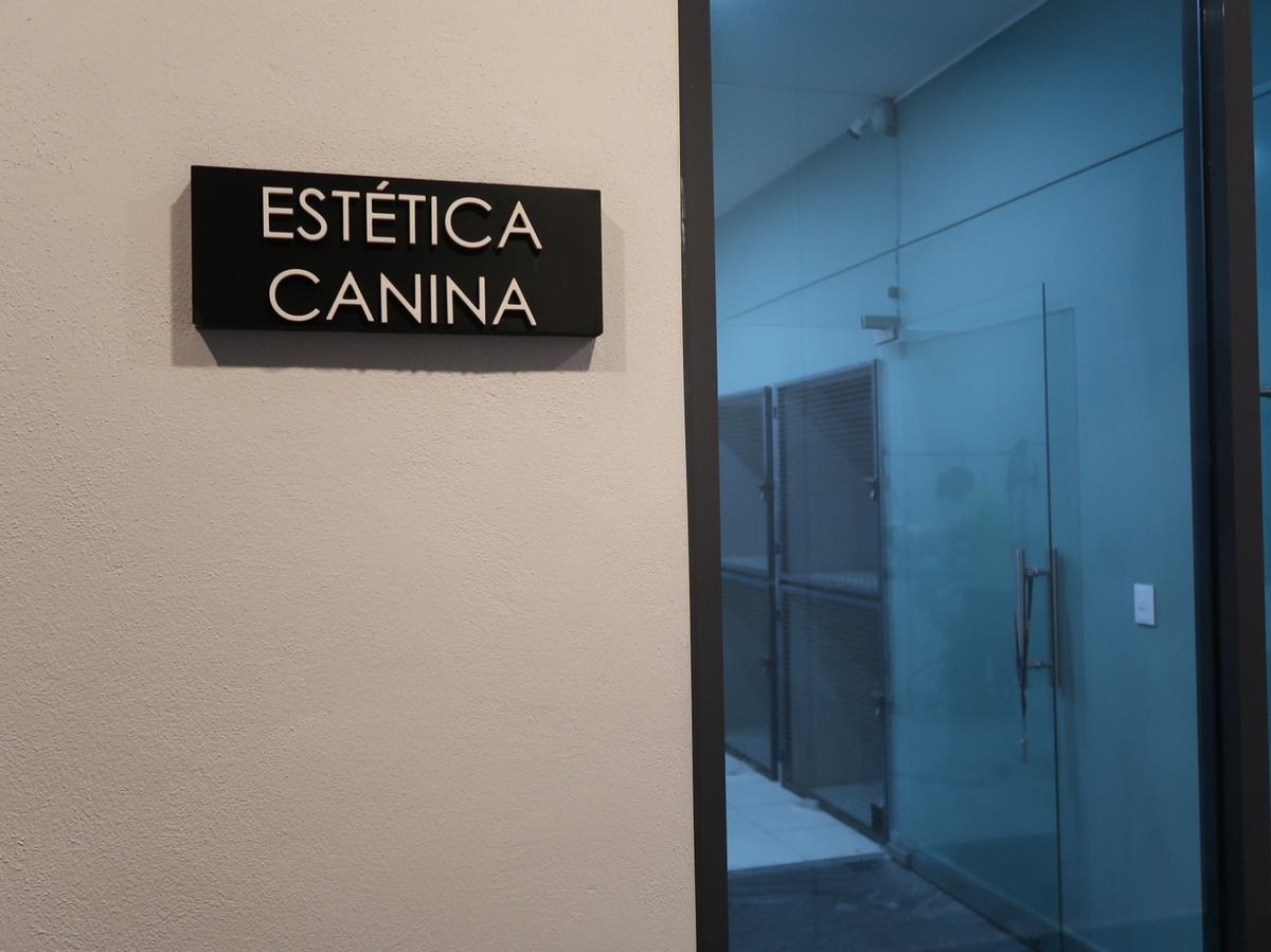 25 de 40