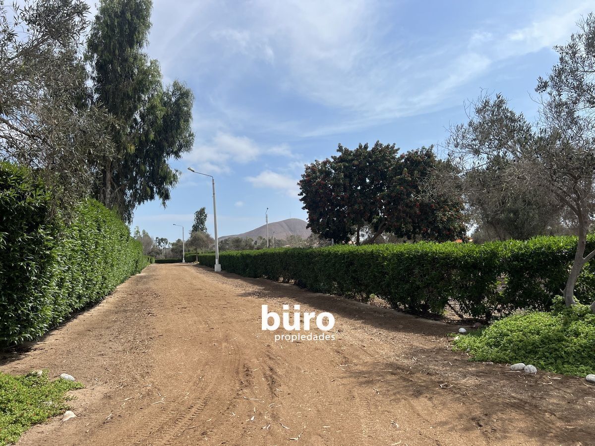 24 de 28: Camino dentro del Condominio