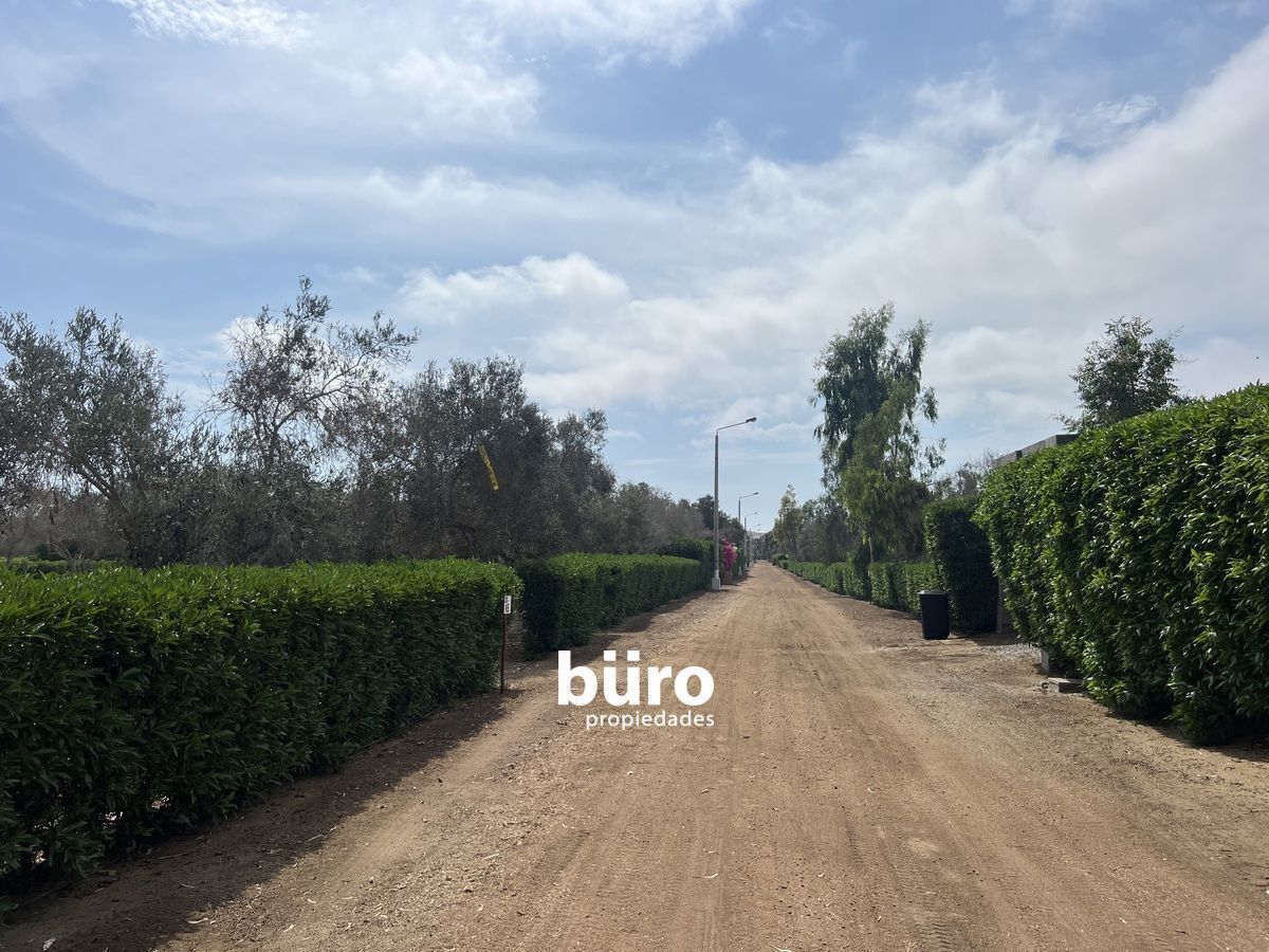 12 de 25: Camino dentro del Condominio
