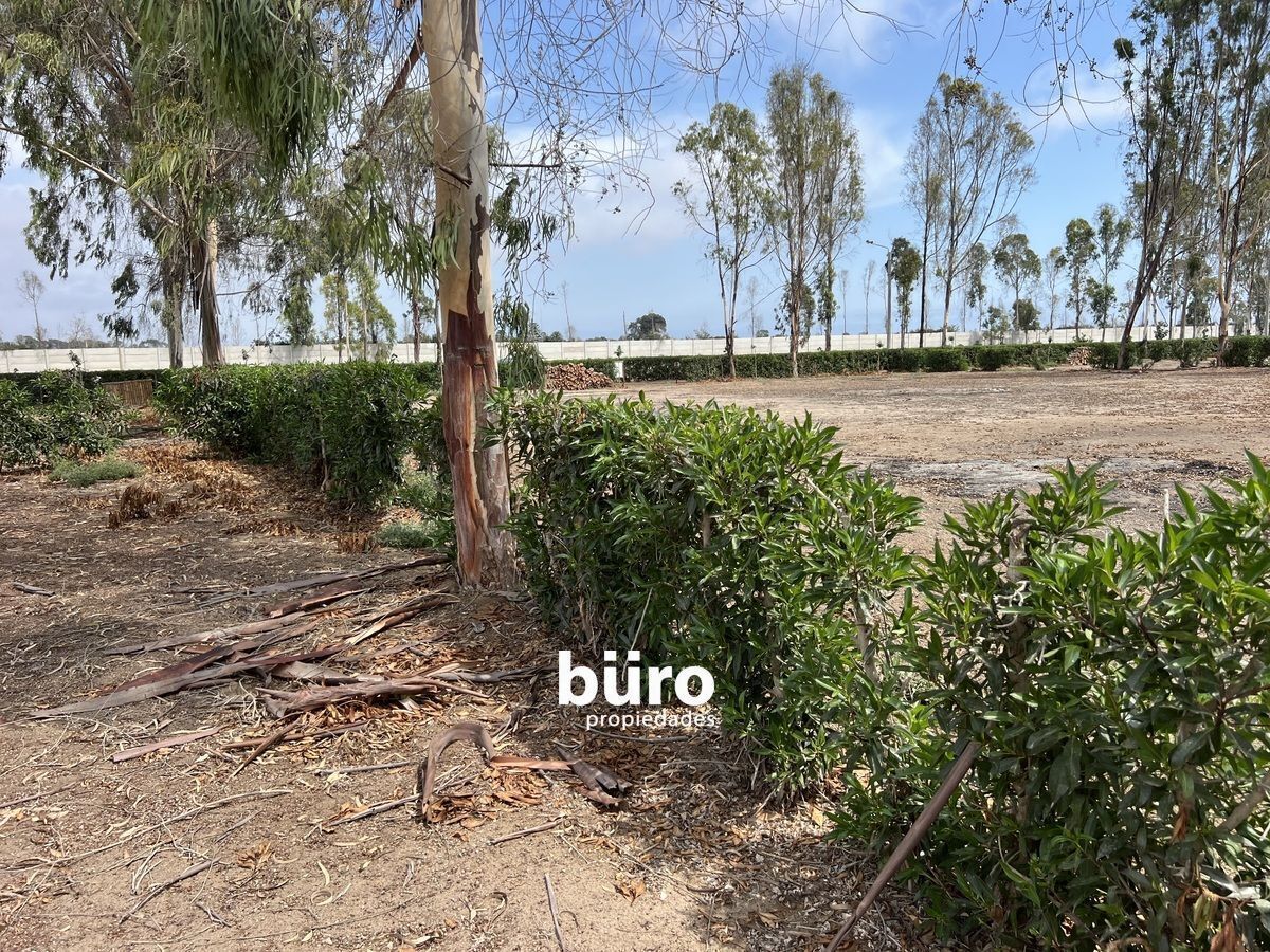 14 de 28: Cerco verde entre Lote 126 y Lote 128