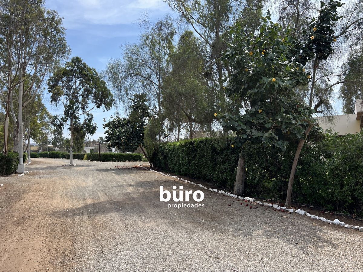 2 de 25: Camino dentro del Condominio