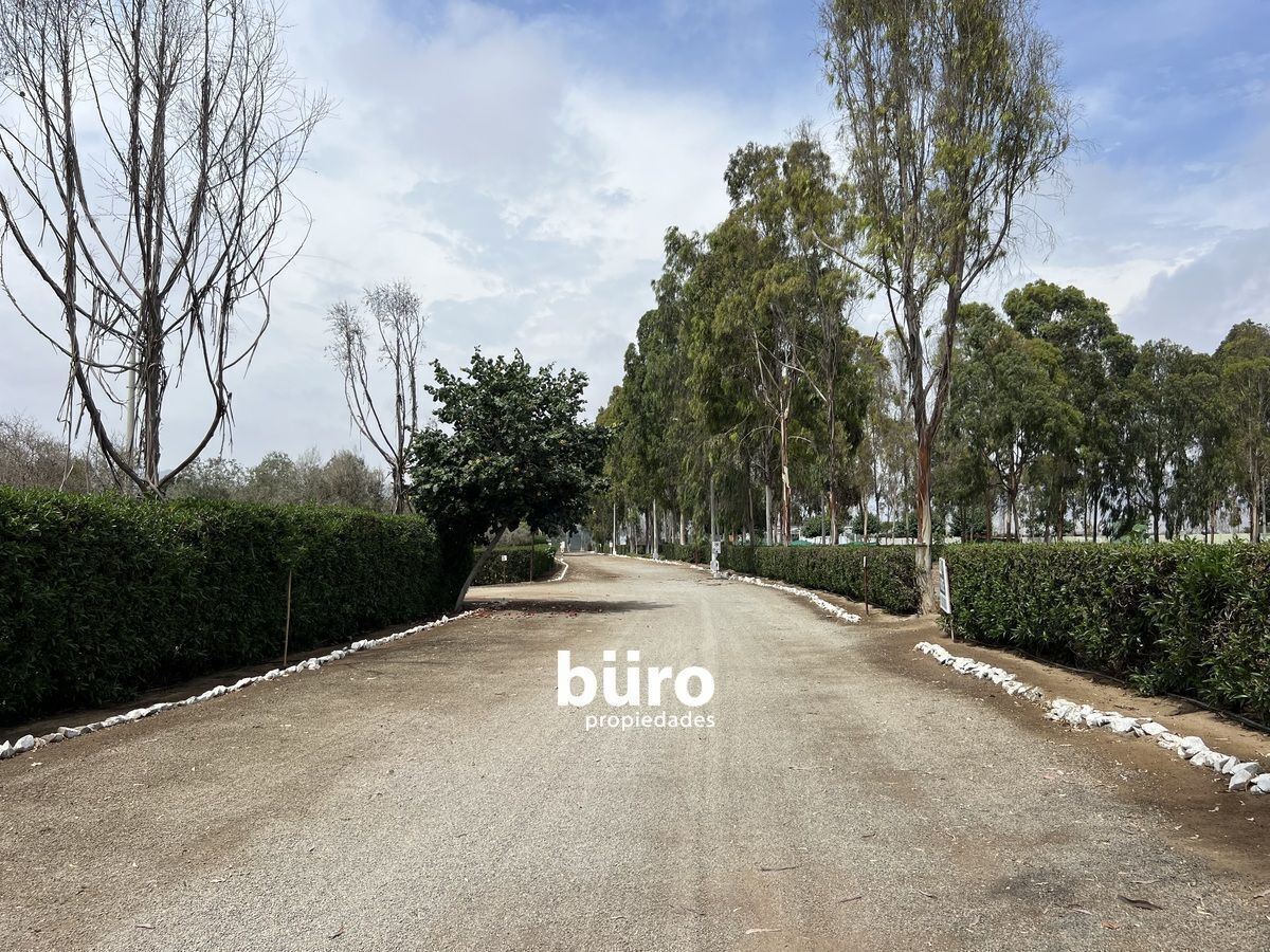 15 de 25: Camino dentro del Condominio