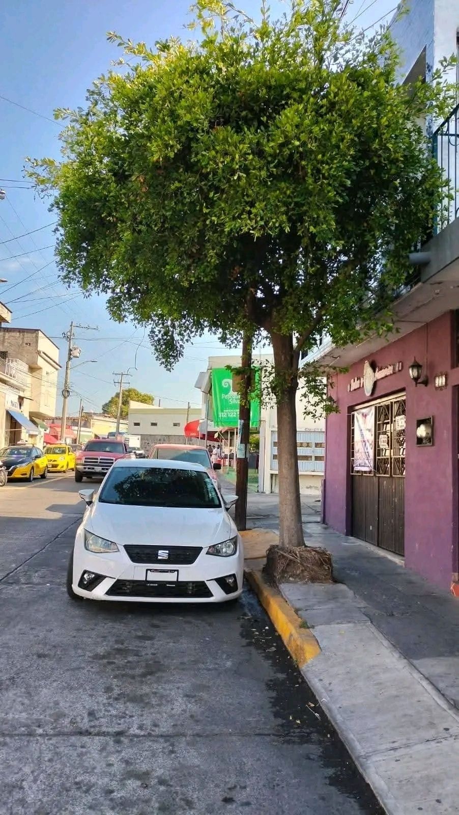 House Center of Colima - foto 3