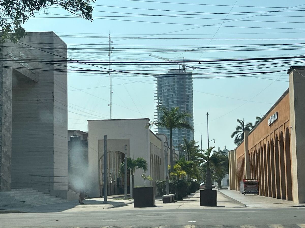 Imagen 6 de 6