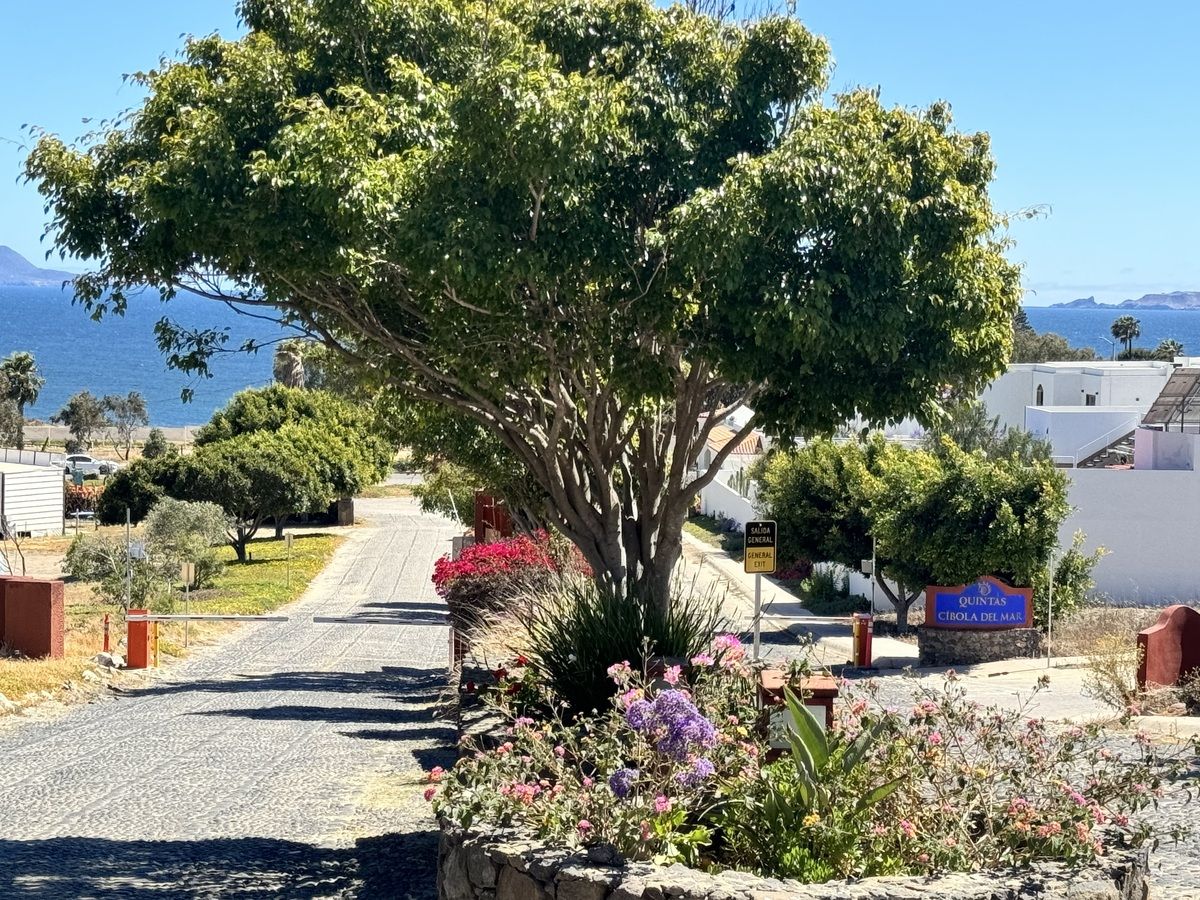 6 of 8: Entrada principal Al fraccionamiento