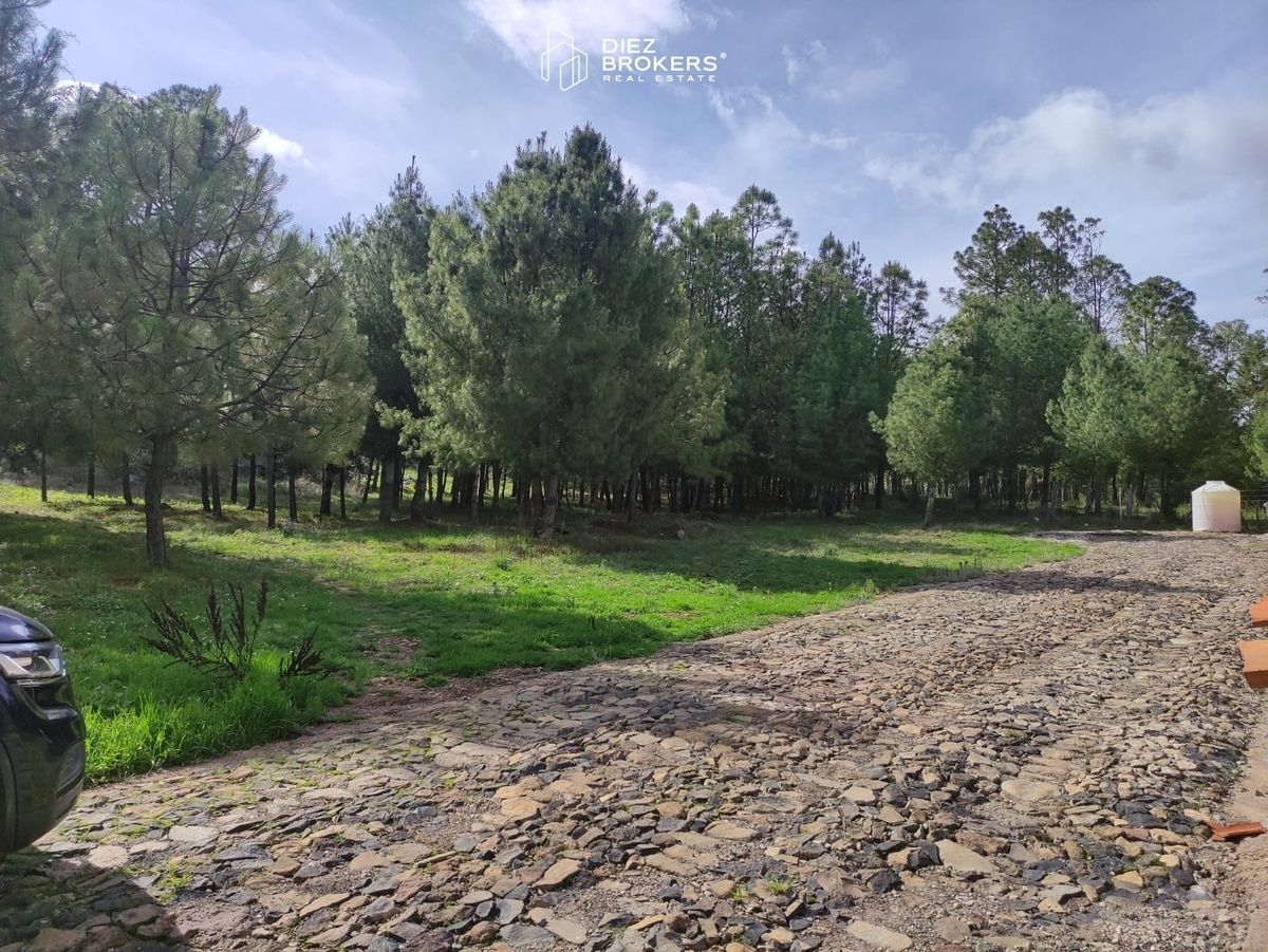 Terreno en Venta - Fraccionamiento Boskania, Atemajac de Brizuela, Jalisco - foto 1