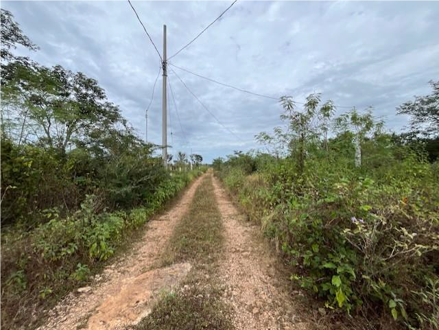 1 de 5