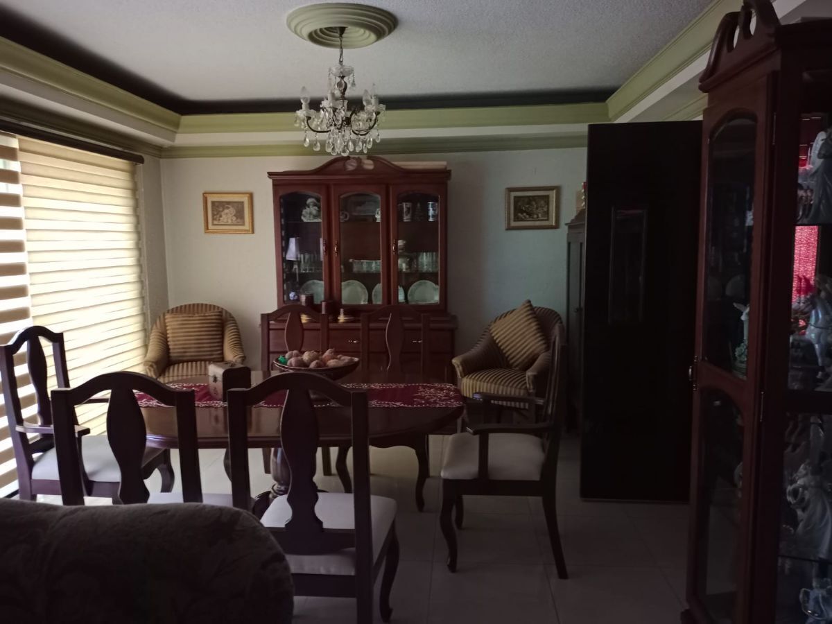 5 of 17: COMEDOR