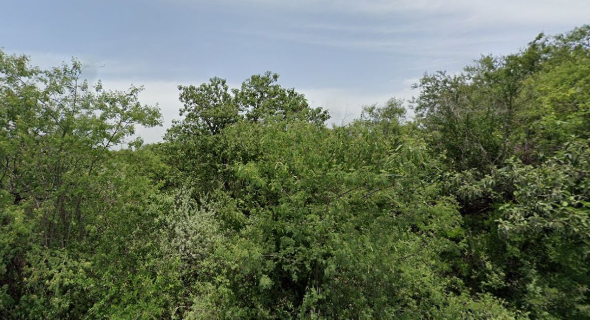 5 de 10: Vista del terreno