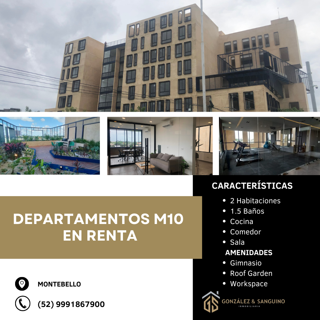 1 de 6