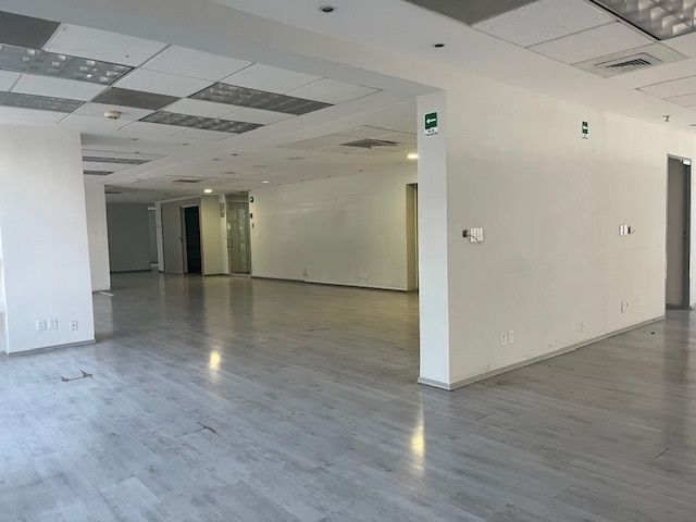 3 de 31