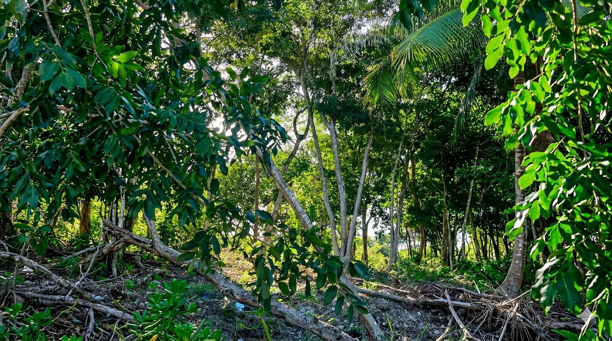 ESPECTACULAR TERRENO EN BACALAR CON LA MEJOR VISTA A LA LAGUNA DE LOS 7 COLORES - foto 4