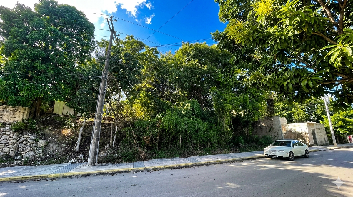 ESPECTACULAR TERRENO EN BACALAR CON LA MEJOR VISTA A LA LAGUNA DE LOS 7 COLORES - foto 5