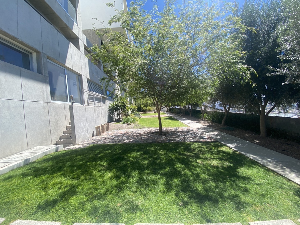 37 de 38