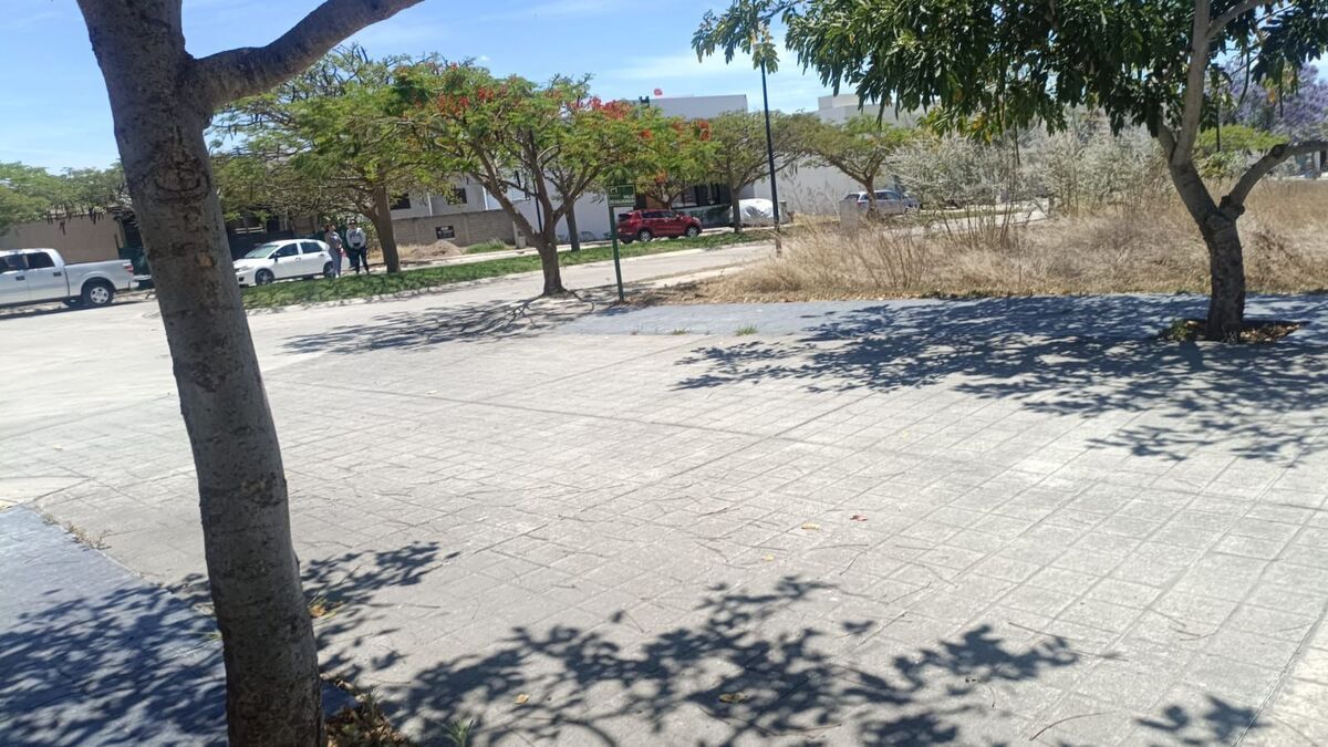 Imagen 4 de 10