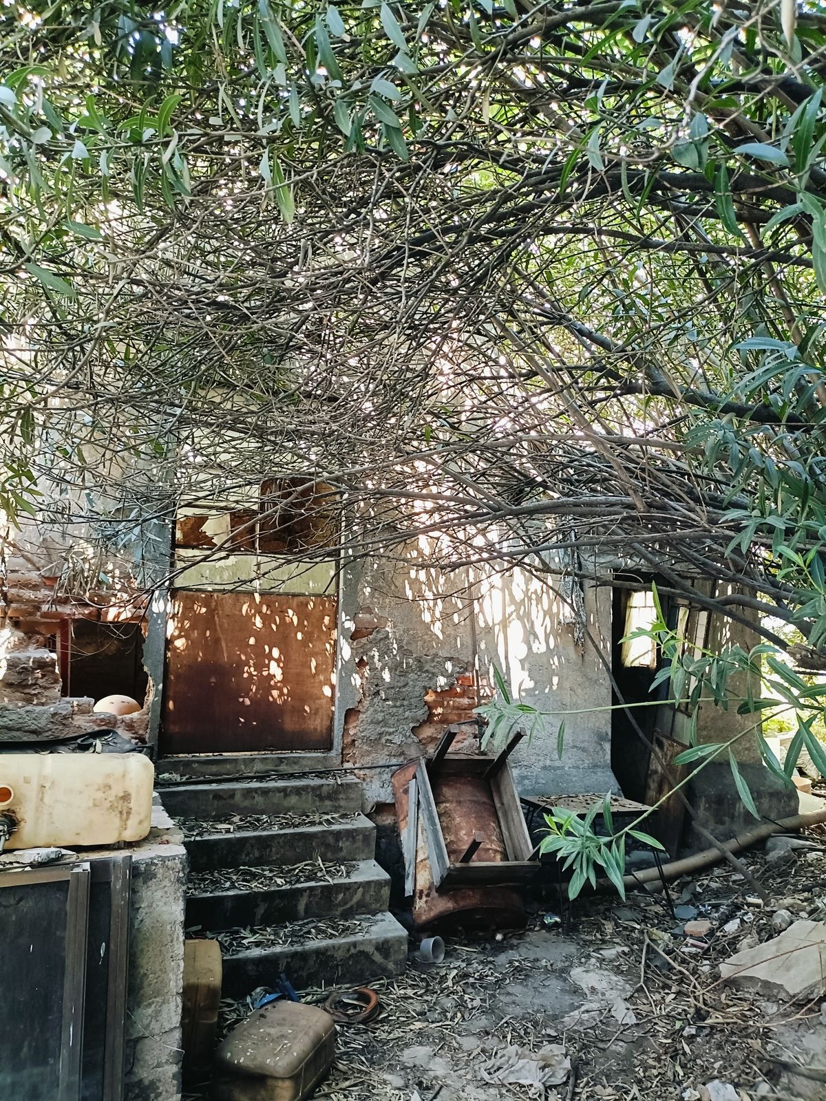 CASA EN VENTA PARA REMODELAR COL. ALGARÍN - foto 1